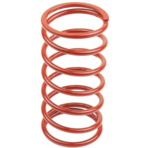 VARIATOR SPRINGS
