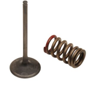 VALVE IN/SPRING KX250F+RMZ250