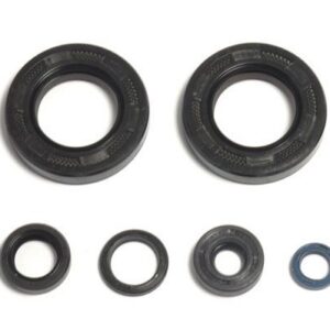 ENGINE OIL SEALS KIT