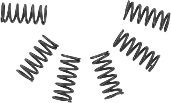 CLUTCH SPRING SET CSK
