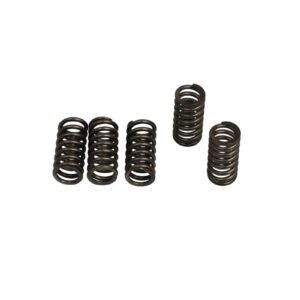 CLUTCH SPRING SET (6 PCS)