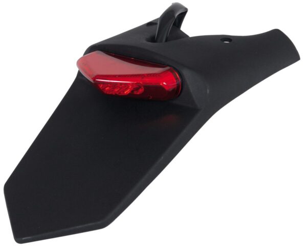 LIC PL HOLD W LED LIGHT