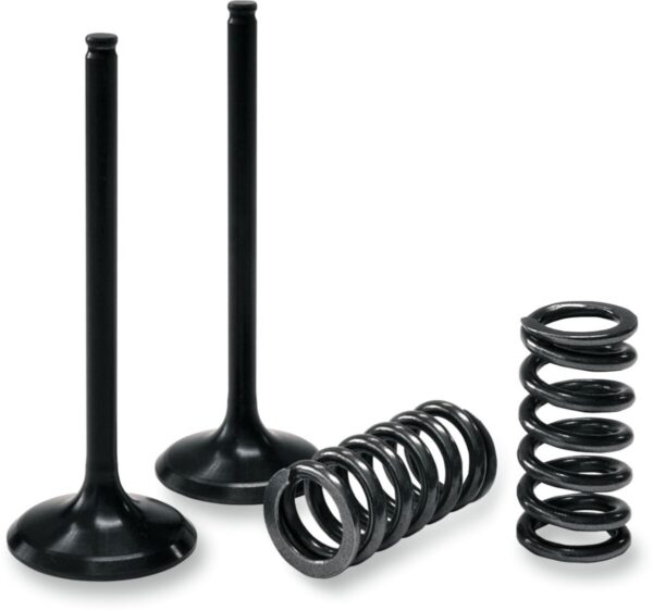 INTAKE VALVE/SPRING KIT