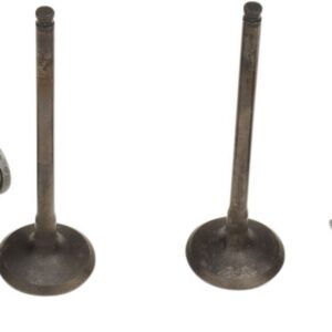 VALVE EX/SPRING KIT RM-Z250