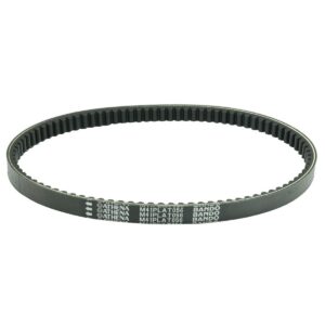 BELT DRIVE PLATINUM YAM