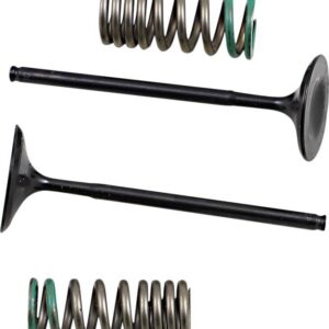 INTAKE VALVE/SPRING KIT
