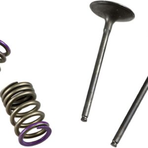 VALVE IN/SPRING KIT KX250F