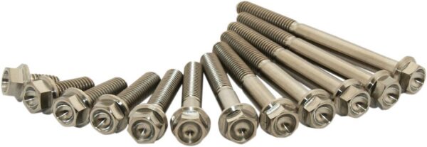 TITANIUM BOLT M6X15 PACK OF 2