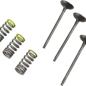 VALVE IN/SPRING KIT YZ/WR250F