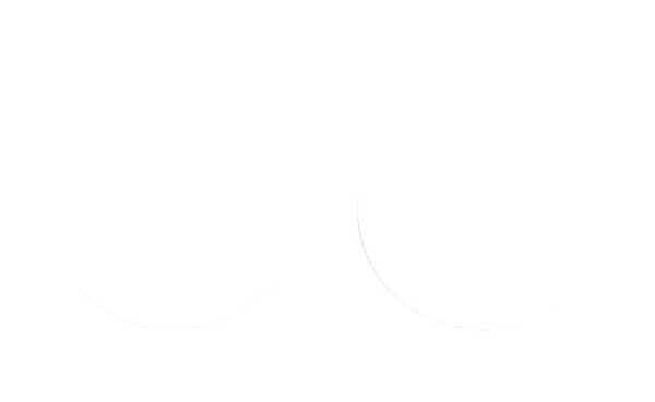 FORK SEAL SW 38X48X10