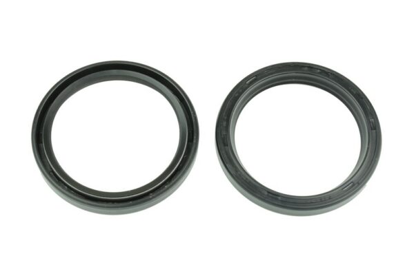 FORK SEAL RS 41X51X6