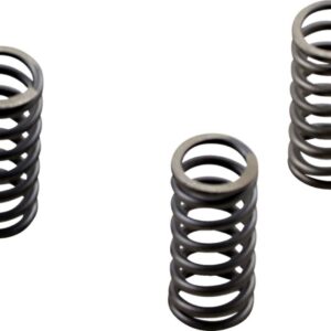 CLUTCH SPRING SET CSK