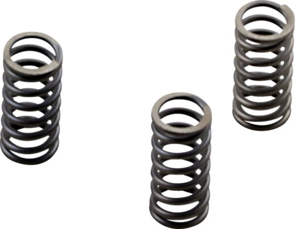 CLUTCH SPRING SET CSK