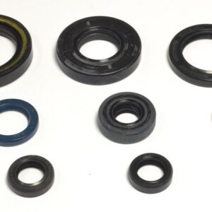 ENGINE OIL SEALS KIT