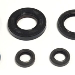ENGINE OIL SEALS KIT