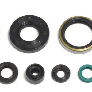 ENGINE OIL SEALS KIT