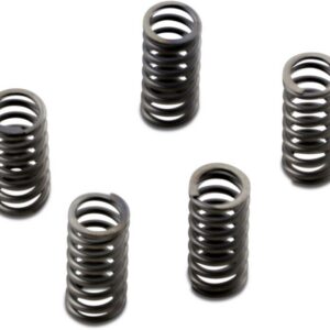 CLUTCH SPRING SET CSK