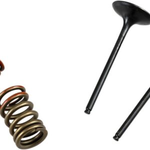 VALVE IN/SPRING KIT KX250F