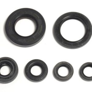 ENGINE OIL SEALS KIT