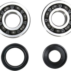 CRANK BEARING SEAL KIT