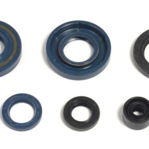 ENGINE OIL SEALS KIT