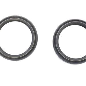FORK SEAL42x53 8x9 6/11 6