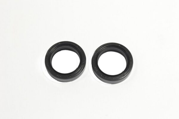 FORK SEAL RSD 33X45X11