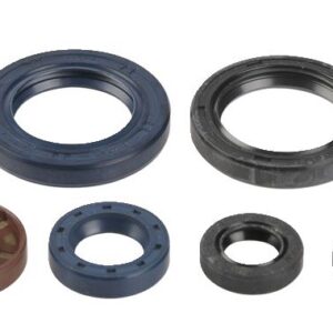 ENGINE OIL SEALS KIT