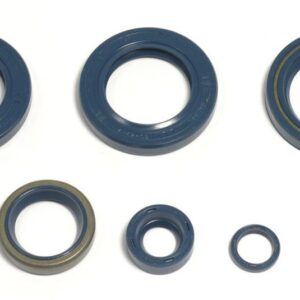 ENGINE OIL SEALS KIT