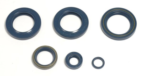 ENGINE OIL SEALS KIT