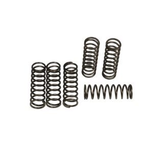 CLUTCH SPRING SET (6 PCS)