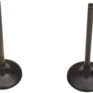 VALVE IN/SPRING KIT KX250F