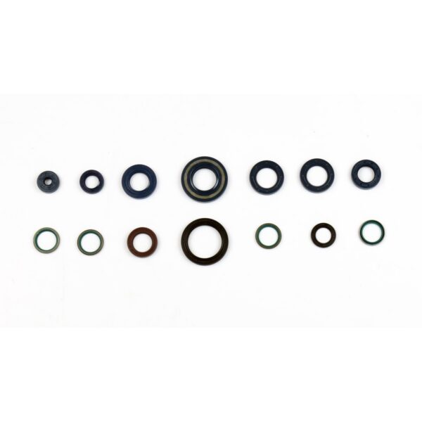 ENGINE OIL SEALS KIT