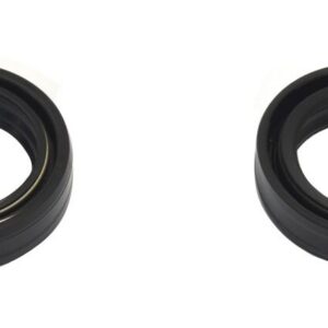 FORK SEAL RSA 33X46X11