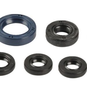 ENGINE OIL SEALS KIT