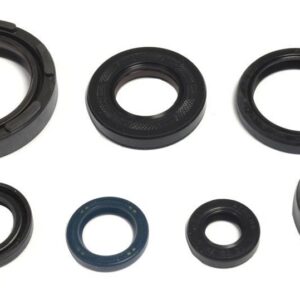 ENGINE OIL SEALS KIT