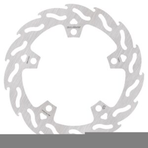 BRAKE DISC FLAME REAR