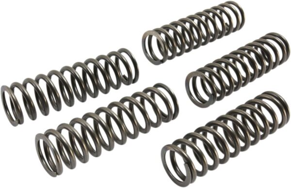 CLUTCH SPRING SET (5 PCS)