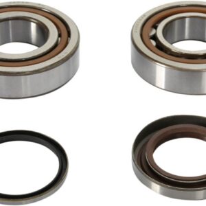 CRANK BEARING SEAL KIT