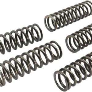 CLUTCH SPRING SET CSK