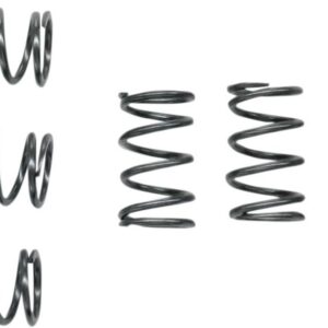 CLUTCH SPRING SET CSK