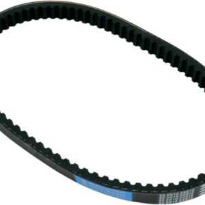 BELT TRAN 22.5X10.5X812