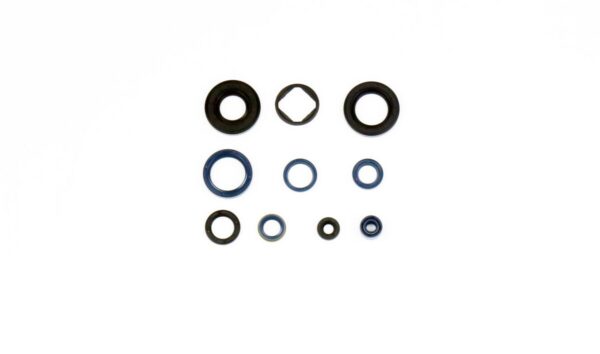 ENGINE OIL SEALS KIT
