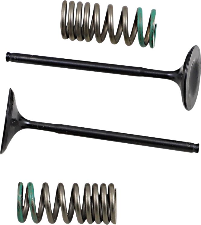 Intake klapp/vedru komplekt