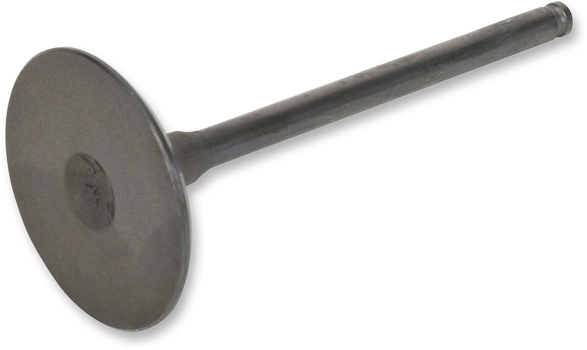 Klapp in steel drz/ltz400