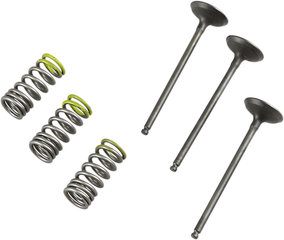 Klapp in/vedru komplekt yz/wr250f