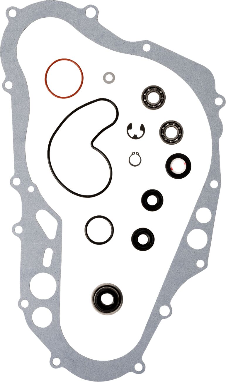 Repair kt wtrpump drz400