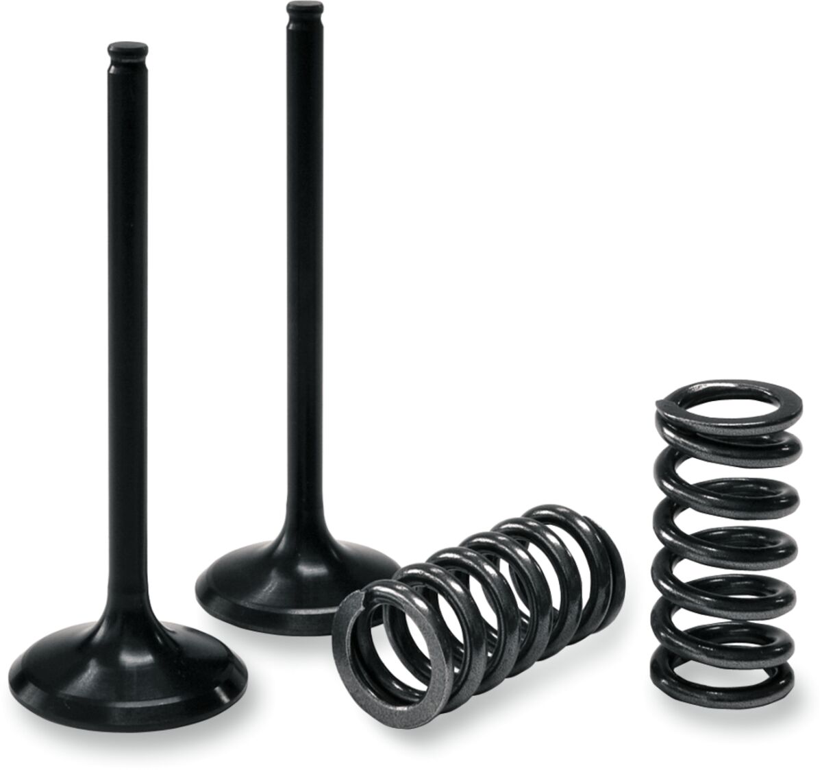 Intake klapp/vedru komplekt
